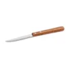 Steak Knife